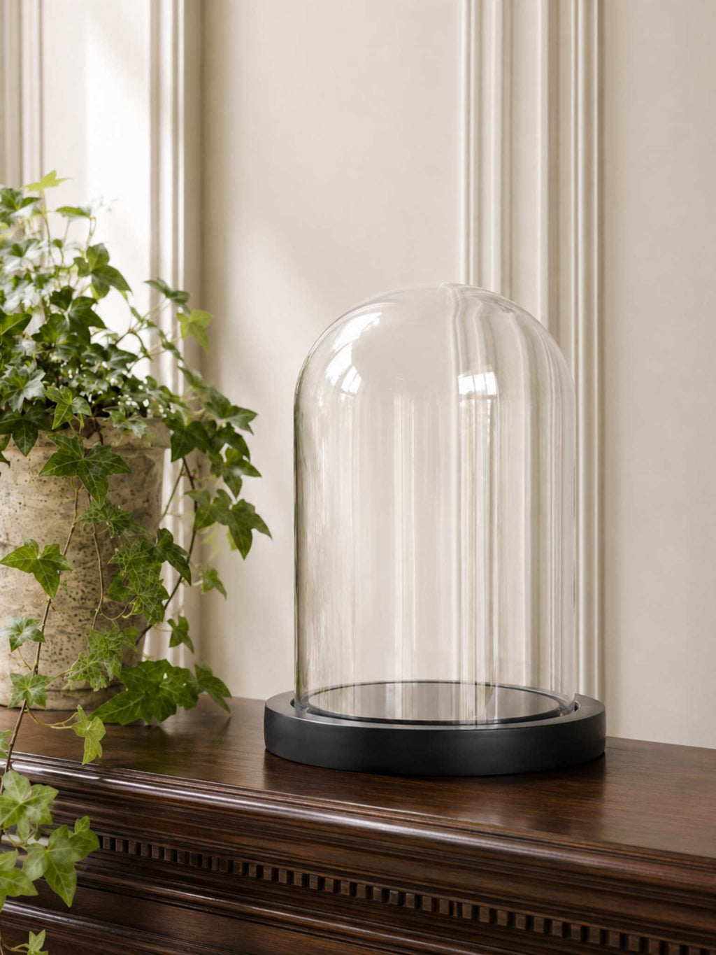 Glass Bell Jar Cloche - Glass Display Dome for Flowers, Figurines, and Collectors Items