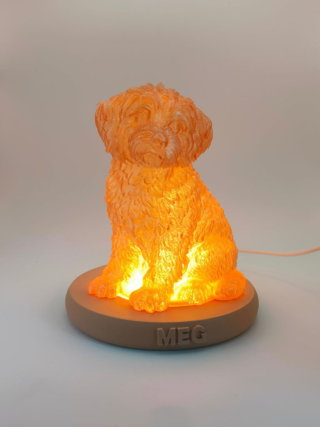 Dog Lamp - Personalised Lamp Based on Your Dog