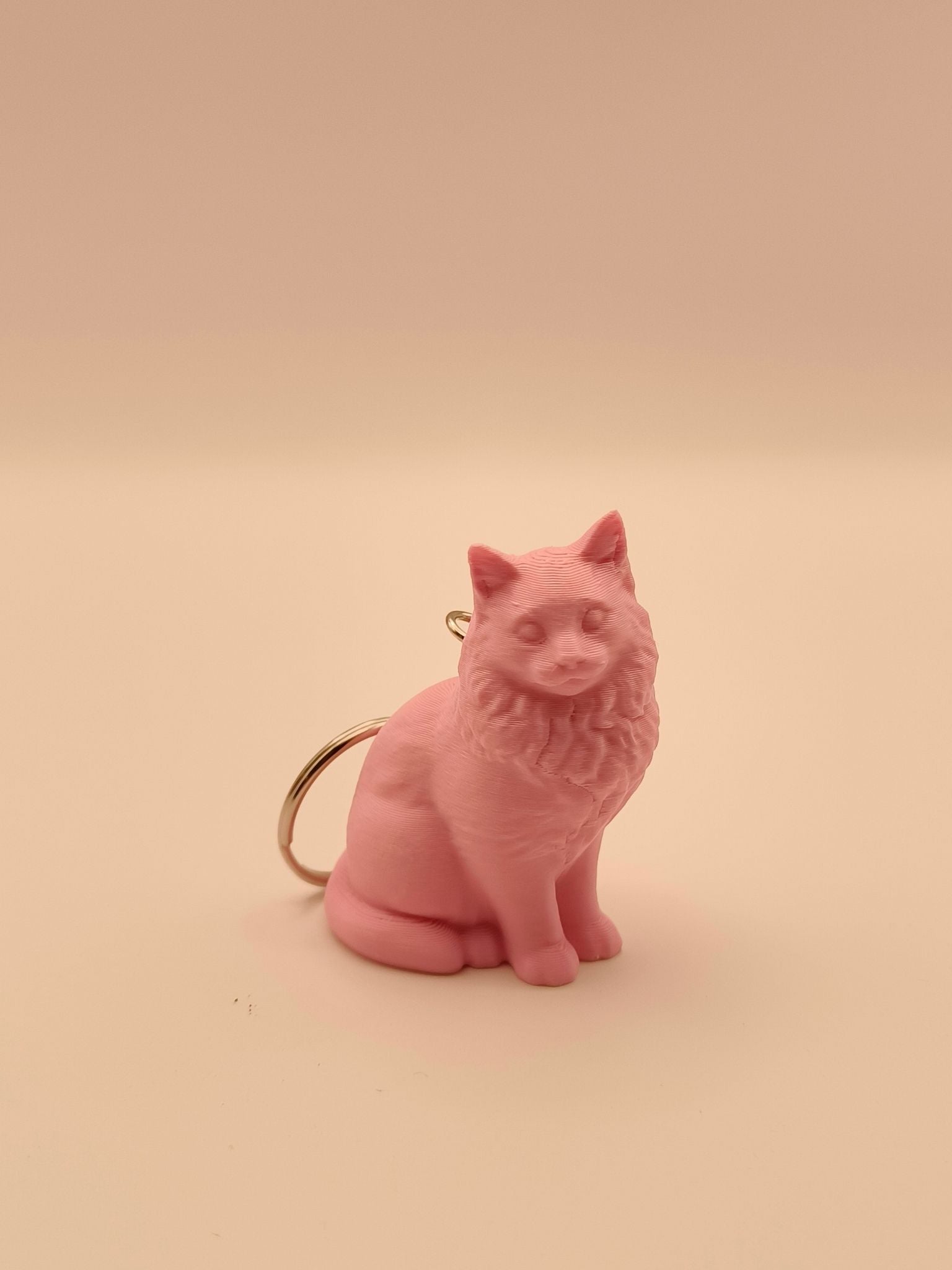 Cat Keyring - Personalised 3D Keyring Figurine based on a Photo of your Cat