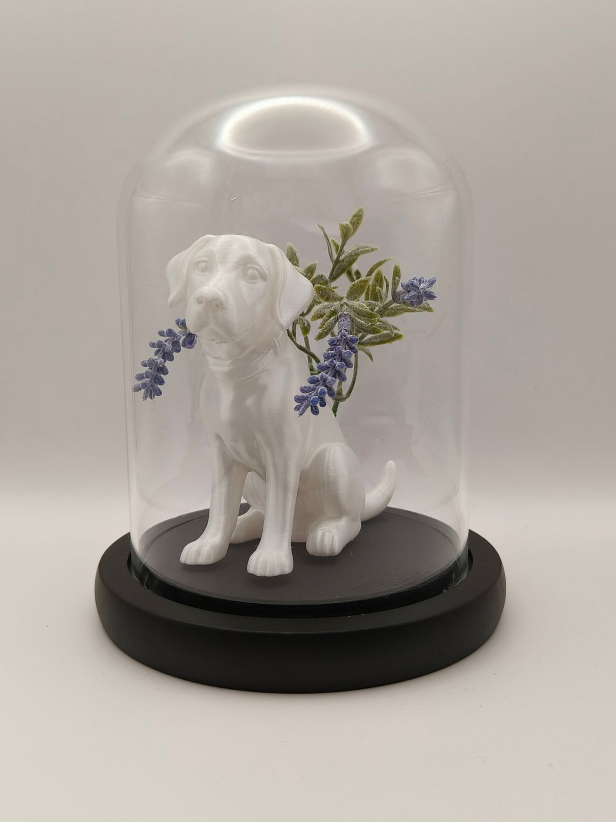 Dog Memorial - Personalised Memorial in a Bell Jar Based on a Photo of Your Dog
