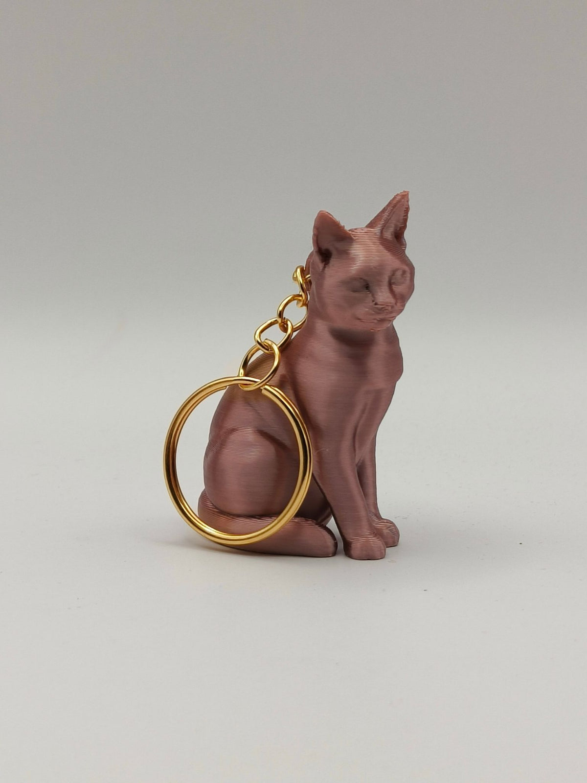 Cat Keyring - Personalised 3D Keyring Figurine based on a Photo of your Cat