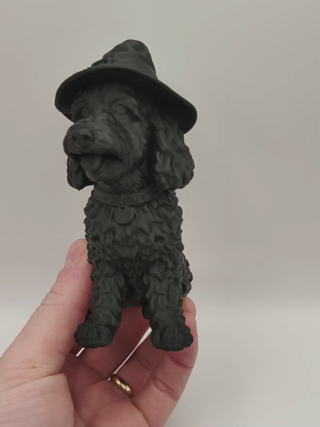 Halloween Pet - Your Pet as a Witch, Personalised Ornament from a Photo