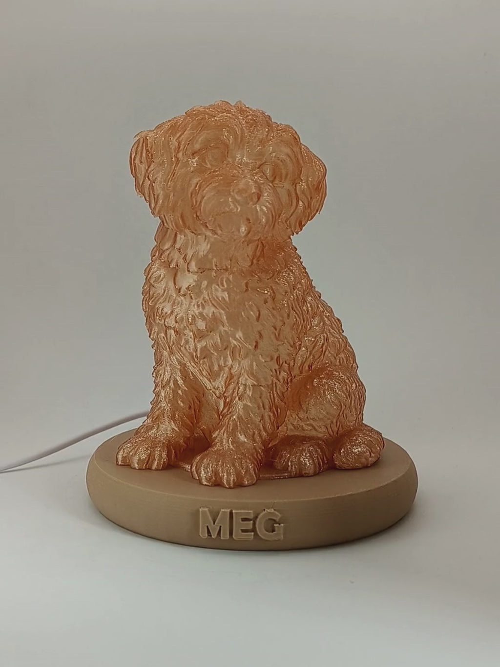 Dog Lamp - Personalised Lamp Based on Your Dog